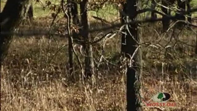 Catch 22 • Whitetail Deer Hunts in Oklahoma