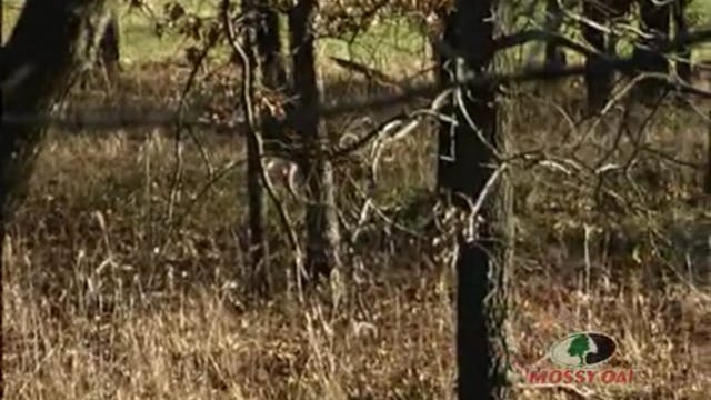 Catch 22 • Whitetail Deer Hunts in Ok...
