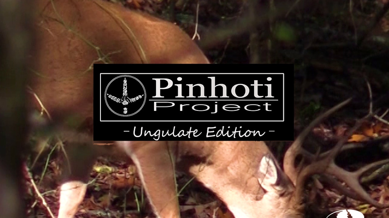 Pinhoti Project: Ungulate Edition