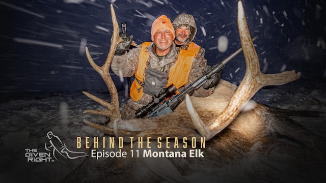 Montana Elk • Behind the Season