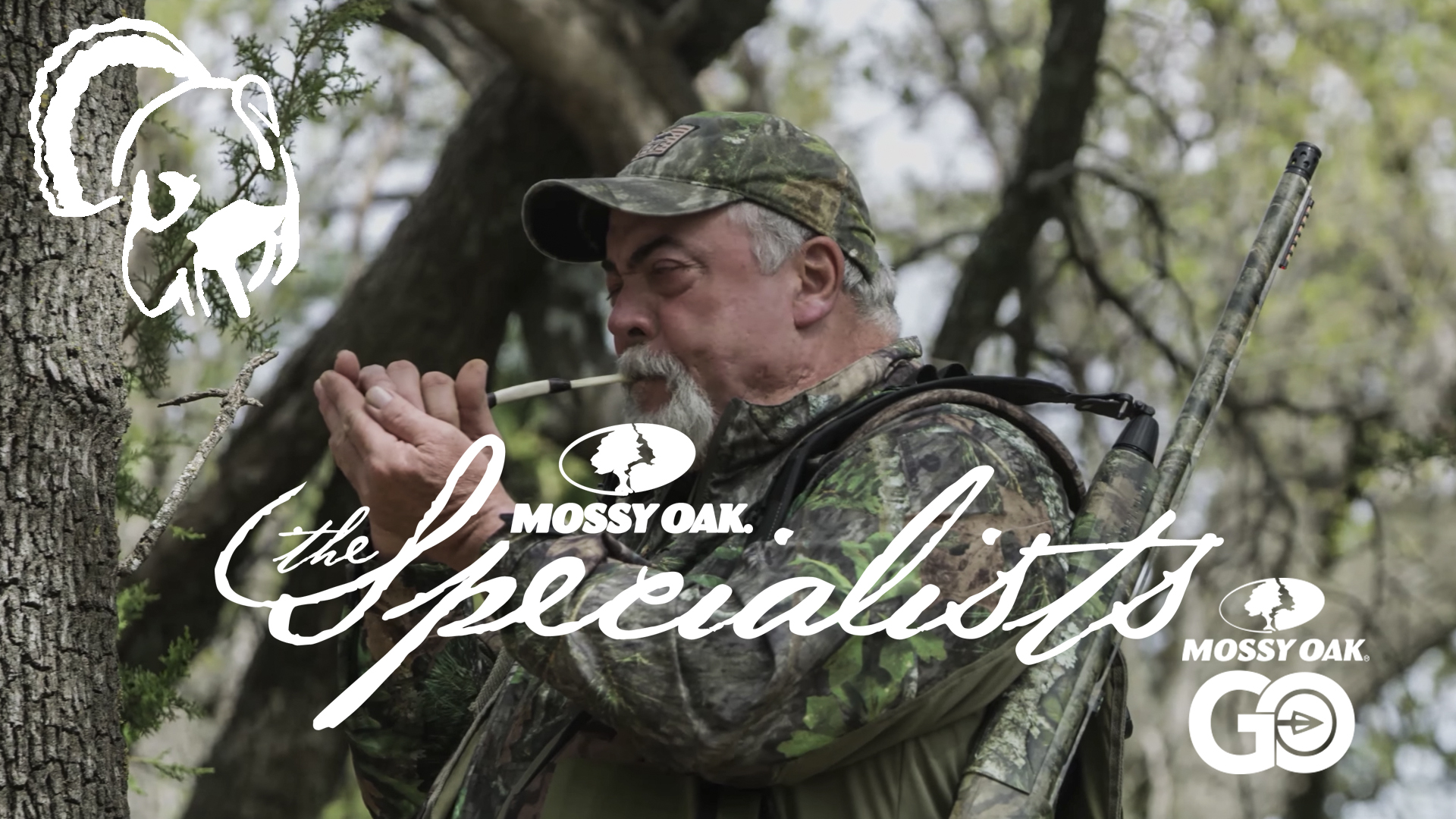 The Specialists • Turkey