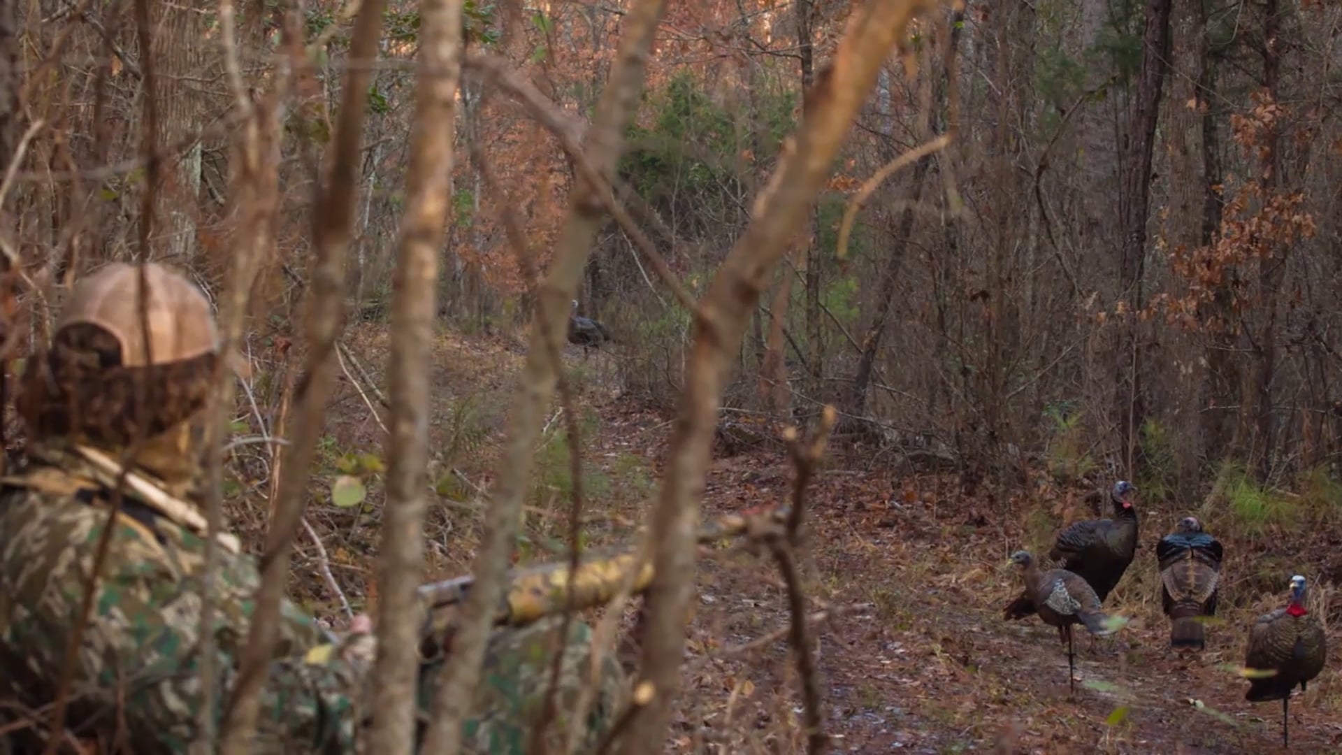 Steam Valley • Avian X