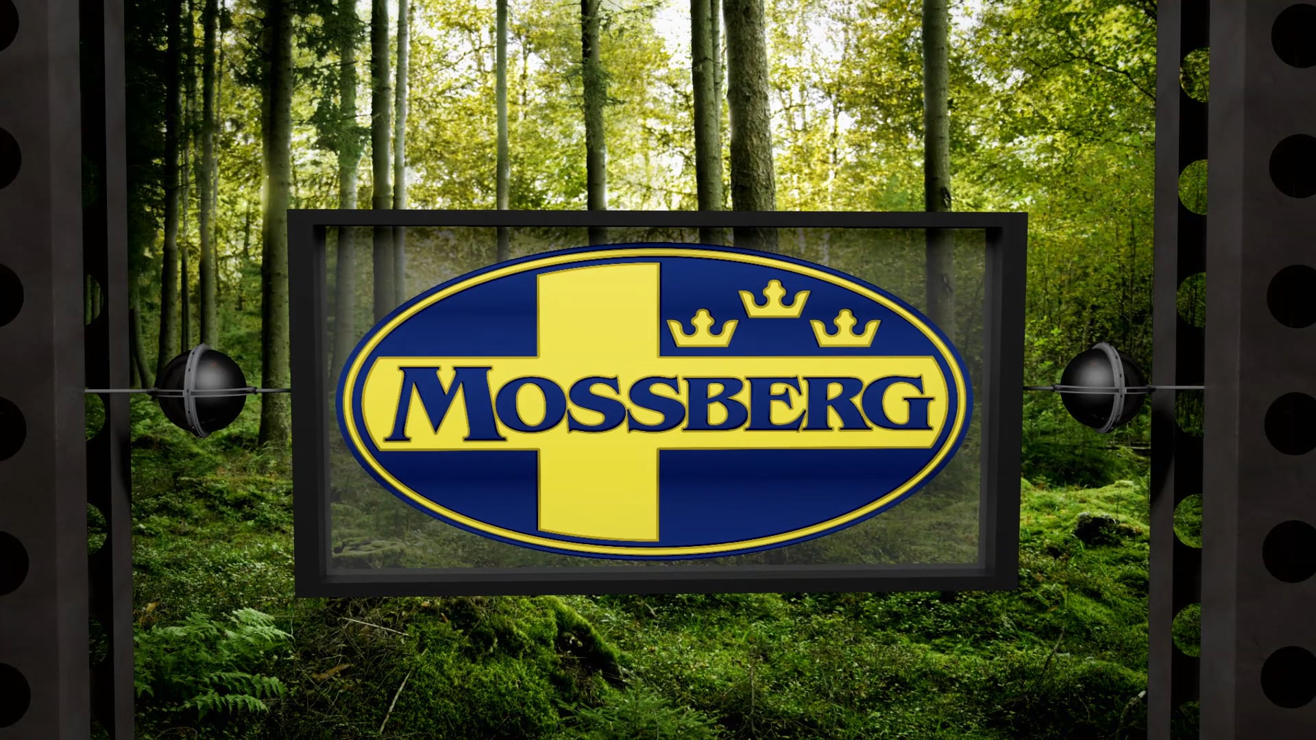 Target Rich Environment • Bowhunting the Heart of Texas