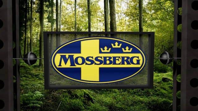 Target Rich Environment • Bowhunting ...