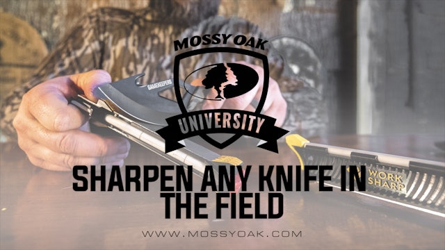 Fastest Way To Sharpen Any Knife In The Field