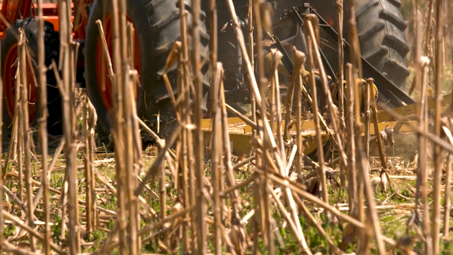 Springtime Tips • Spring Property Management and Turkey Hunting