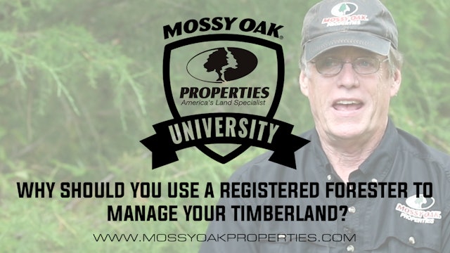 Why Should You Use A Registered Forester To Manage Your Timberland?