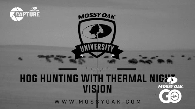 Best Way To Hunt Hogs At Night With Thermal Night Vision.Mp4