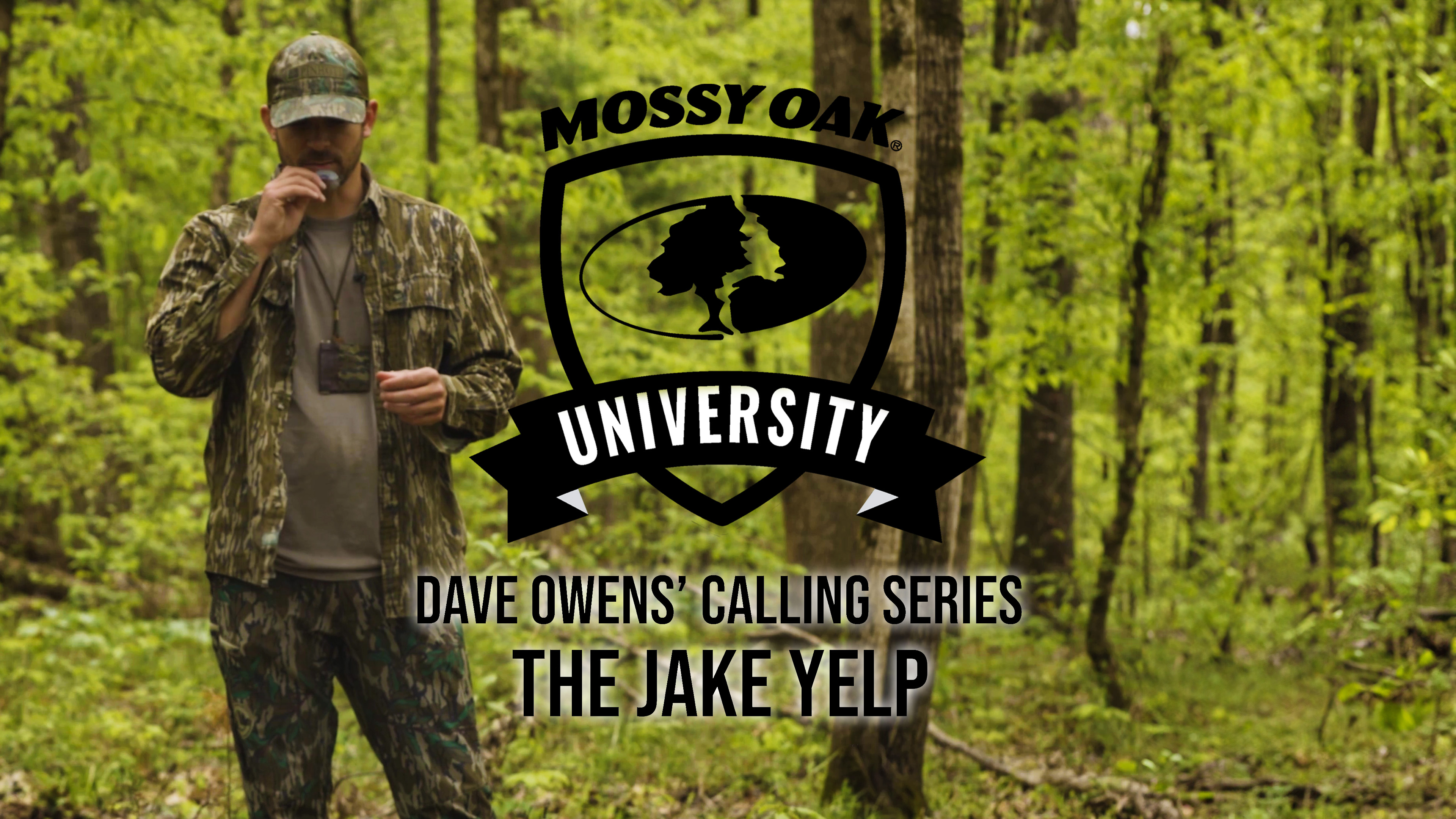 Dave Owens’ Turkey Calling Tips: THE JAKE YELP