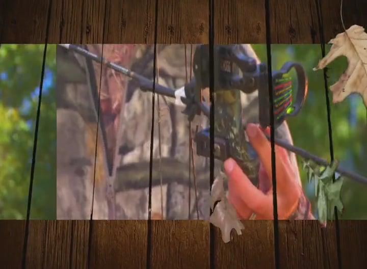 All About Wyatt • Whitetails in Nebraska