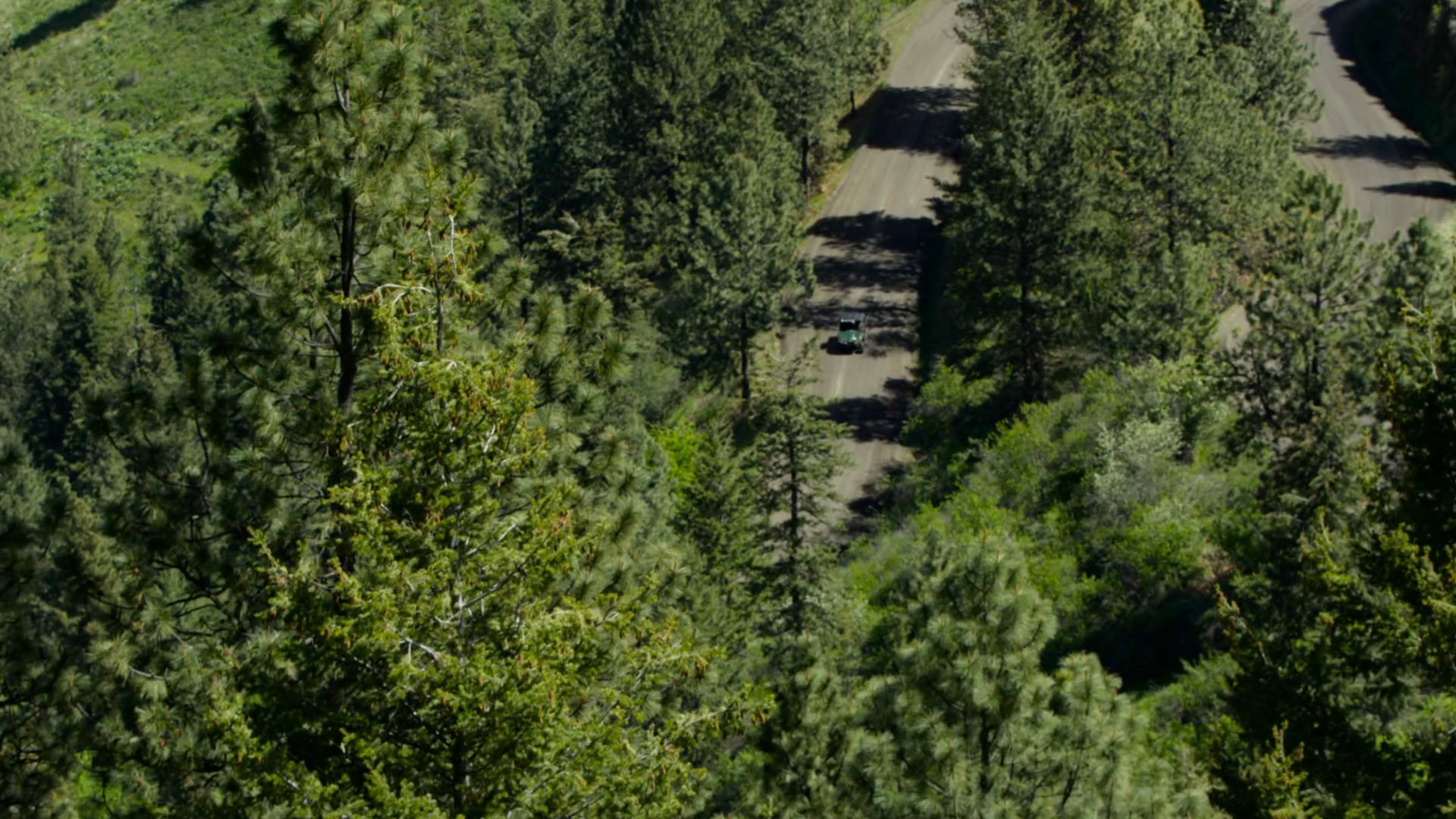 Bear Realities Idaho • The Hunger