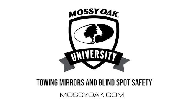 Towing Mirrors and Blind Spot Safety