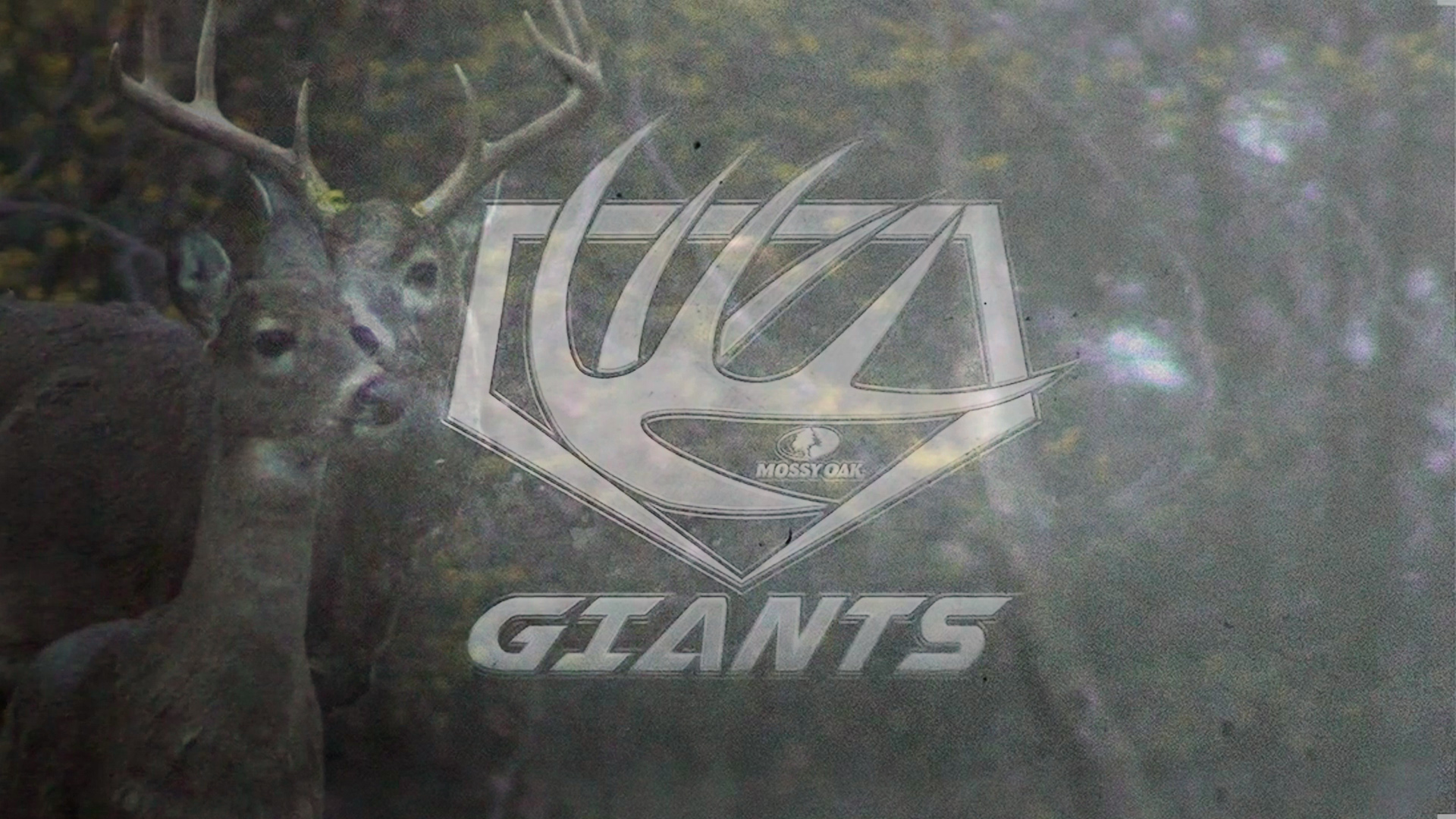 Giants