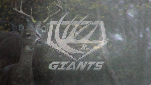 Giants