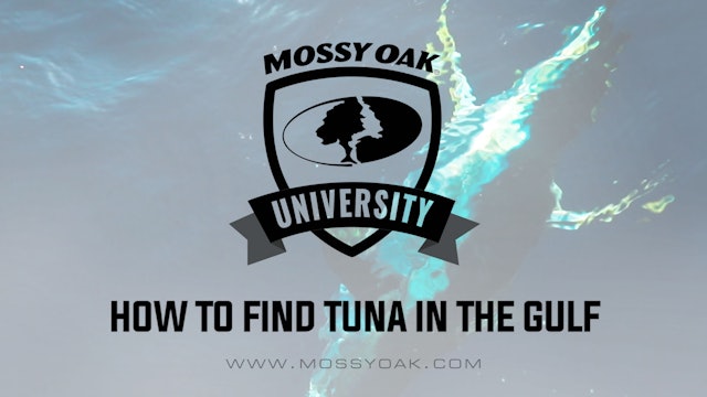 How to Find Tuna in the Gulf of Mexico