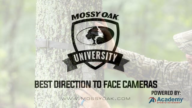 Best Direction for Trail Cameras