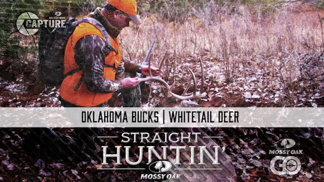 Oklahoma Bucks • Whitetail Deer • Straight Huntin'