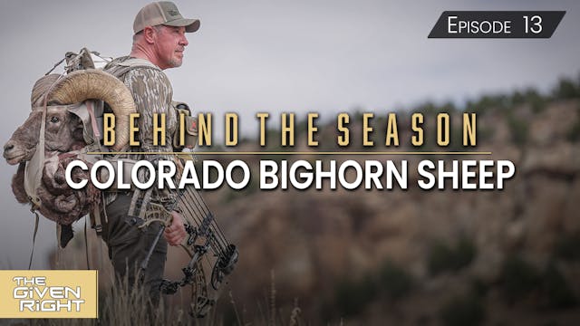 Colorado Sheep • Behind the Season