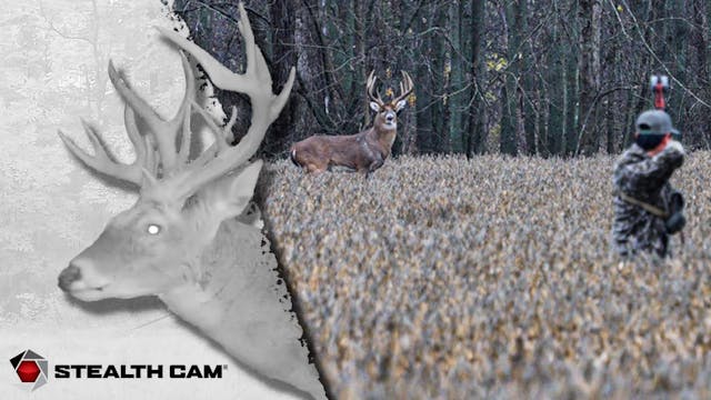 200" Whitetail in Illinois : Brandon'...