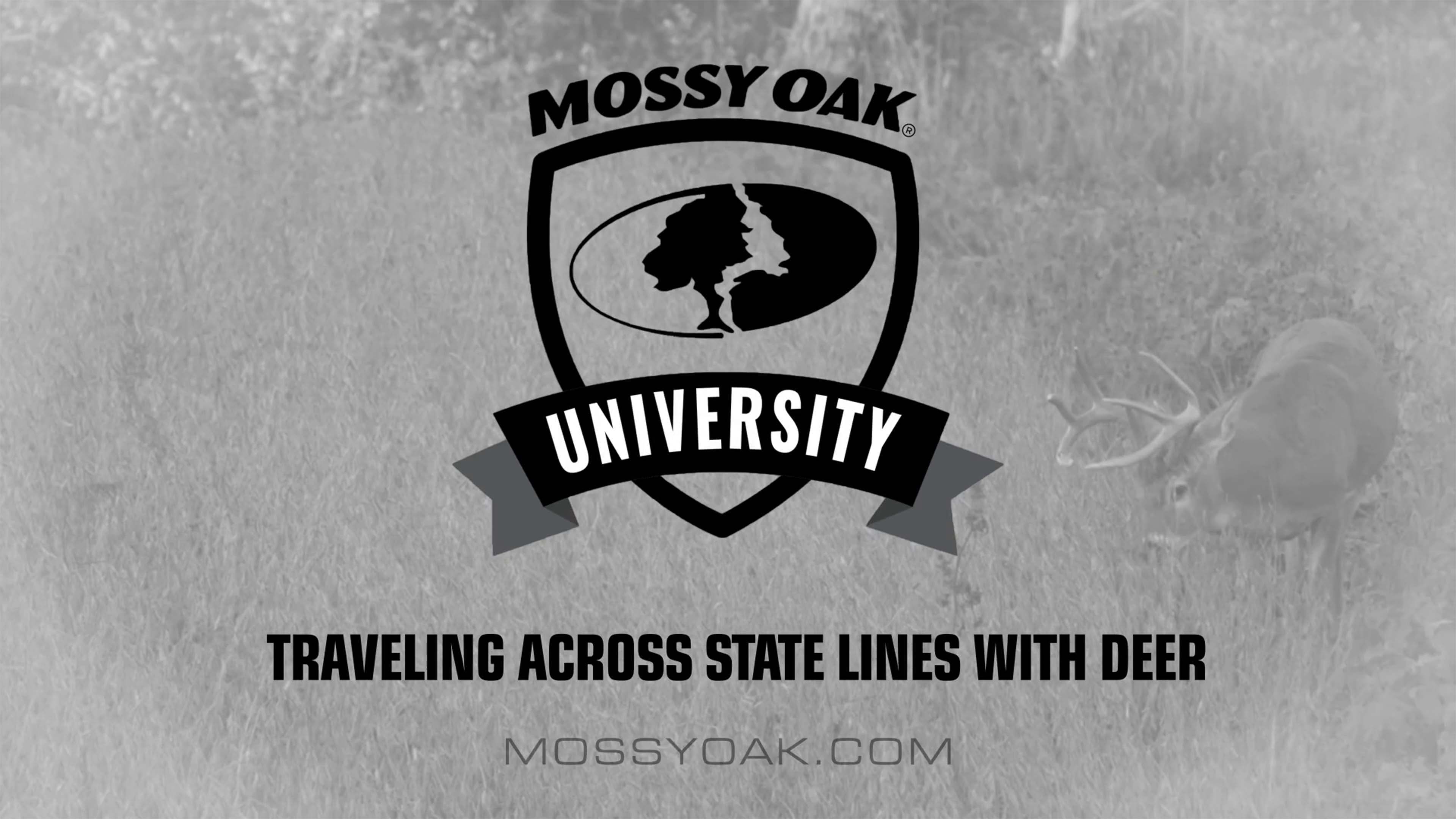 Traveling Across State Lines with a Deer • Mossy Oak University