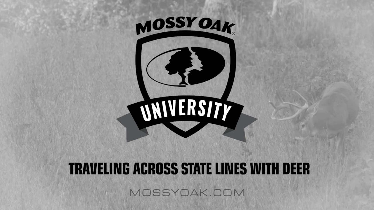 Traveling Across State Lines with a Deer • Mossy Oak University Mossy