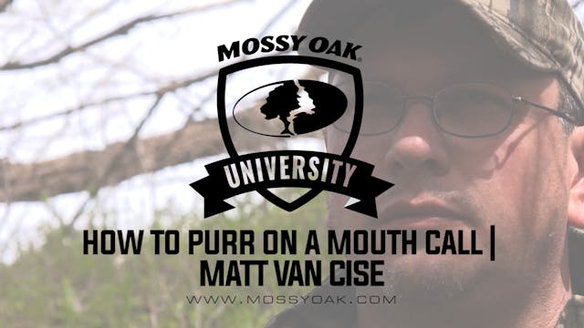 How to Purr on a Mouth Call