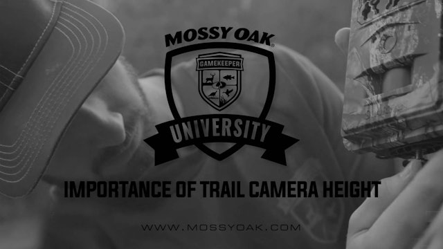 Trail Camera Height Importance • Mossy Oak University