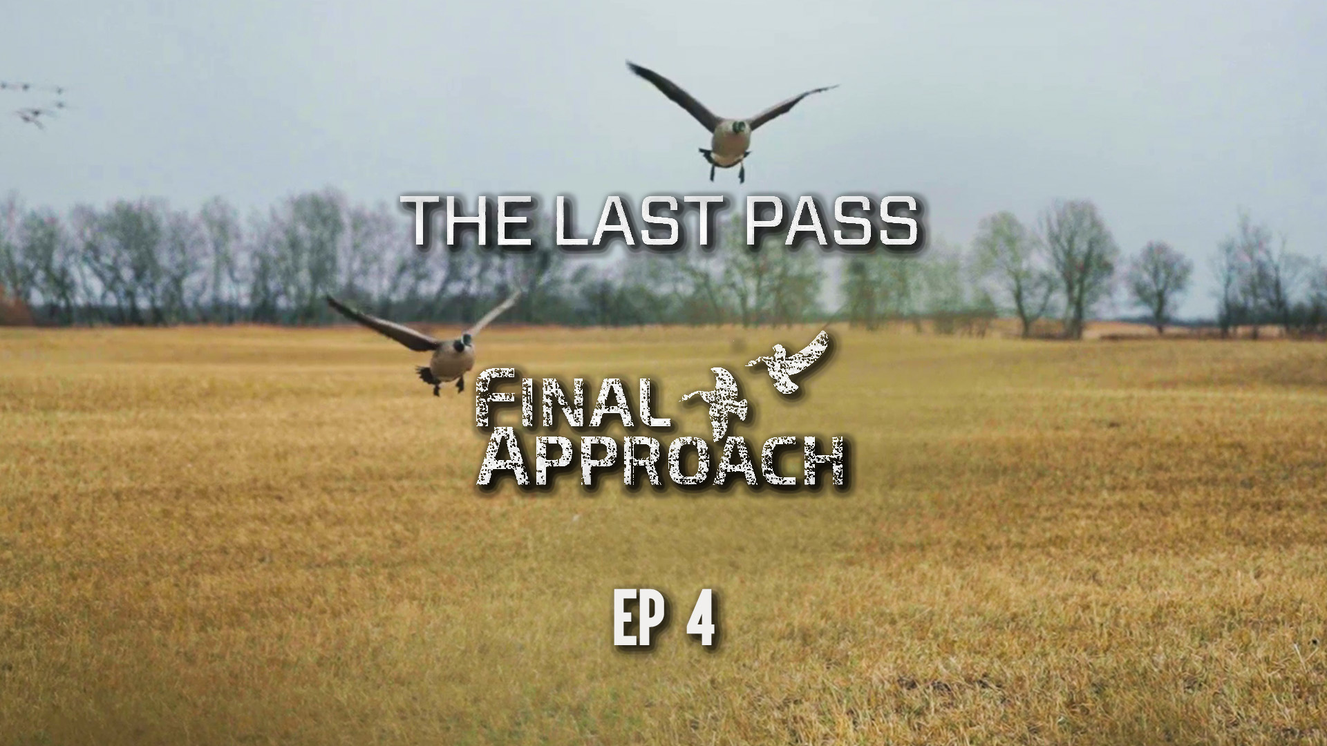 Last Pass Episode 4 • Shoot The White One • Barn Burner Of A Hunt