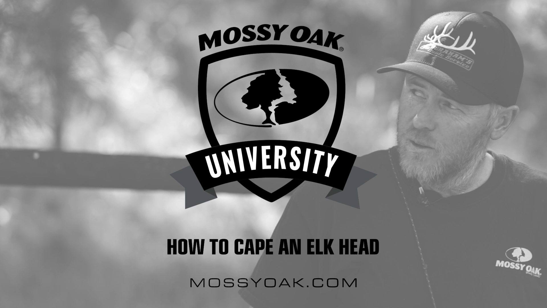 How to Cape an Elk Head