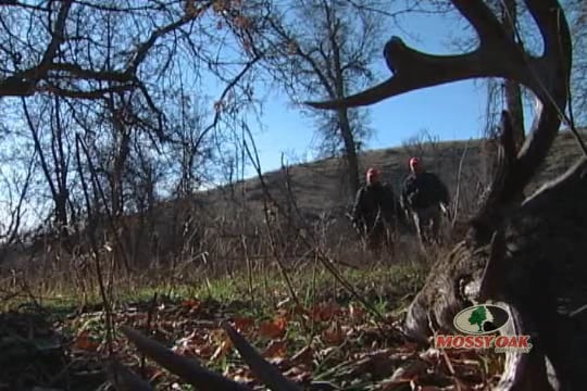 What a Butte • Great Bucks Beautiful Landscape