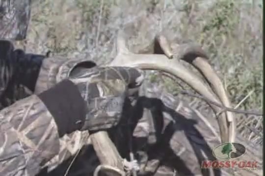 Best of Mega Bucks 123