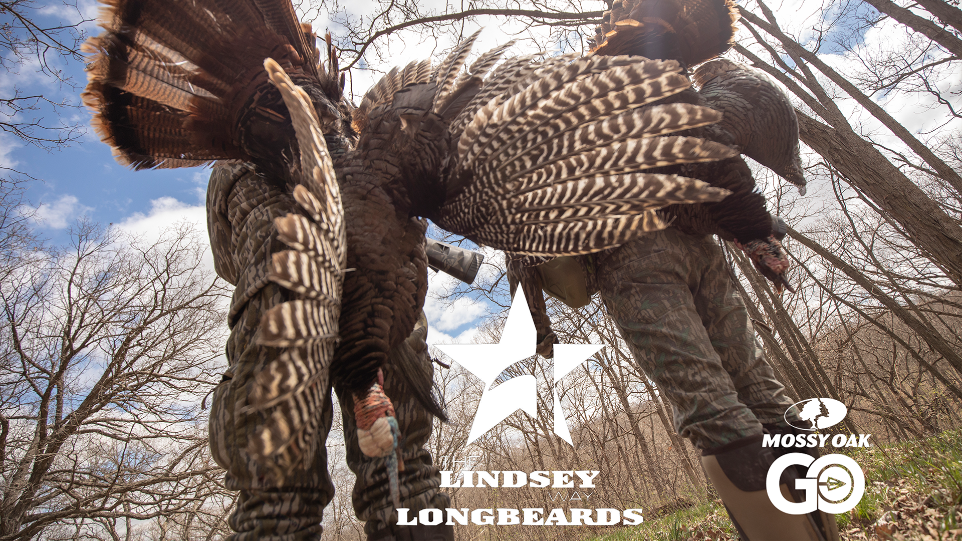 The Strips • Lindsey Way Longbeards