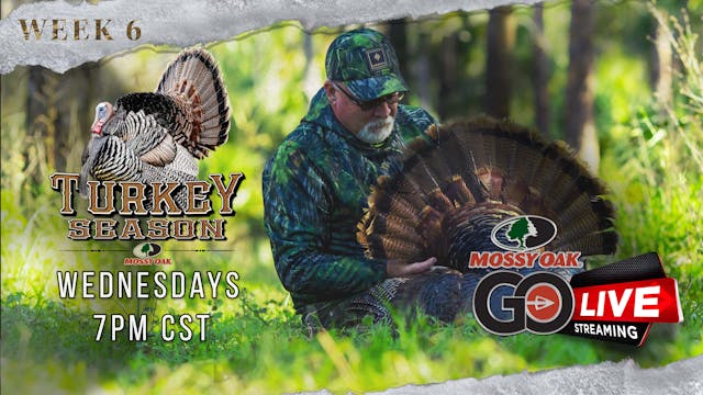Live: 3.30.2022 Turkey Season LIVE Re...