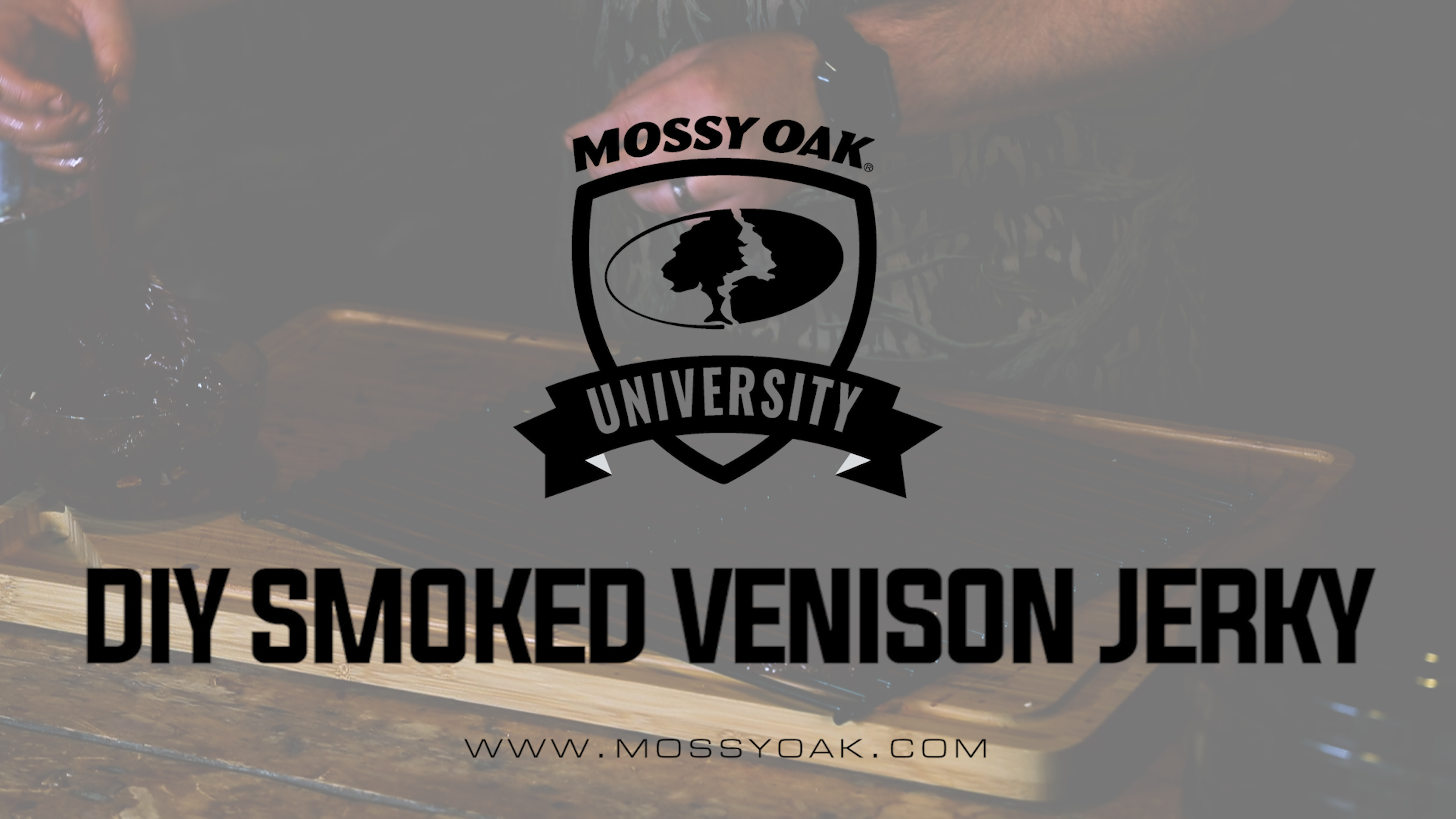 Diy Smoked Venison Jerky