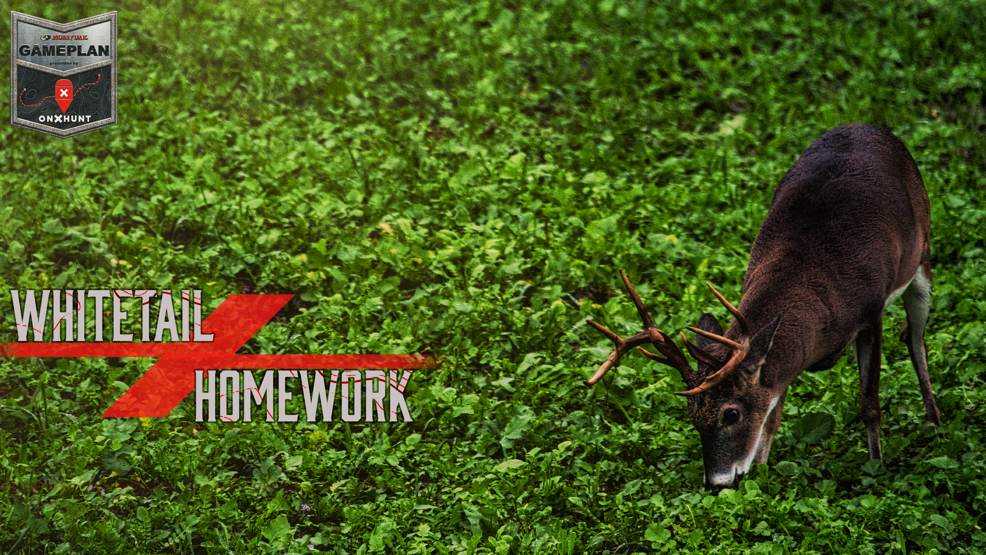 Whitetail Homework • OnX Gameplan