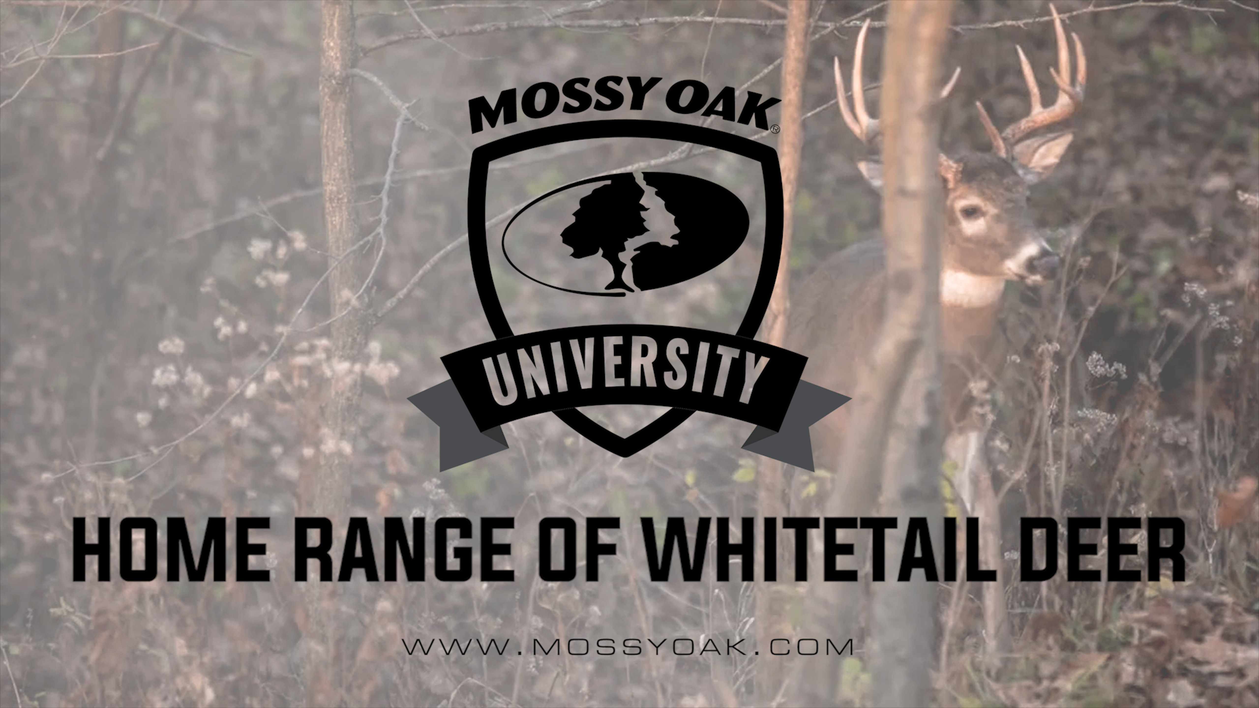 Home Range of Whitetail Deer