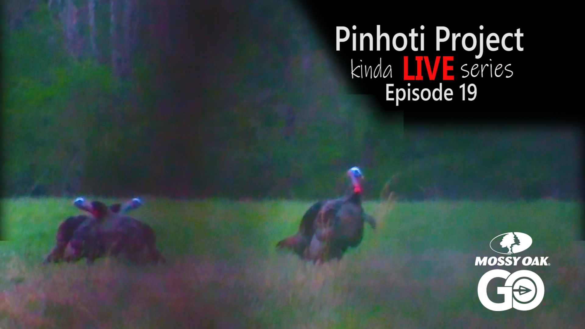Kinda Live • Episode 19 • Pinhoti Project
