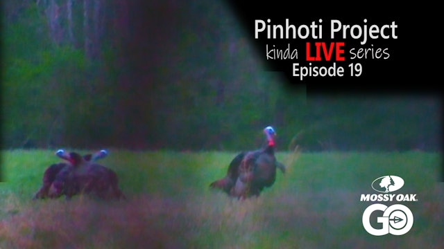 Kinda Live • Episode 19 • Pinhoti Project