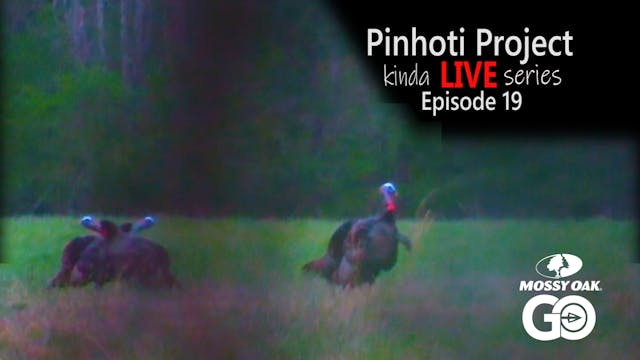 Kinda Live • Episode 19 • Pinhoti Pro...