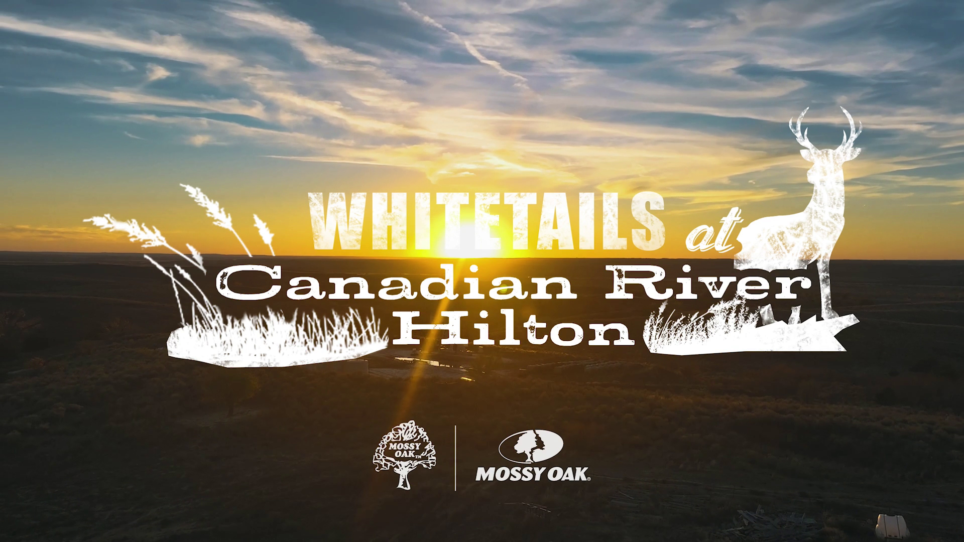 Whitetails at Canadian River Hilton