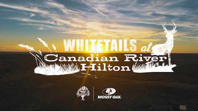 Whitetails at Canadian River Hilton