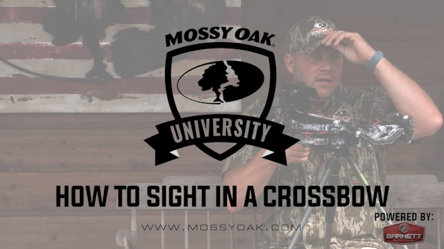 How To Sight In A Crossbow Scope