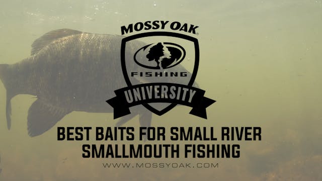 Best Baits For Small River Smallmouth...