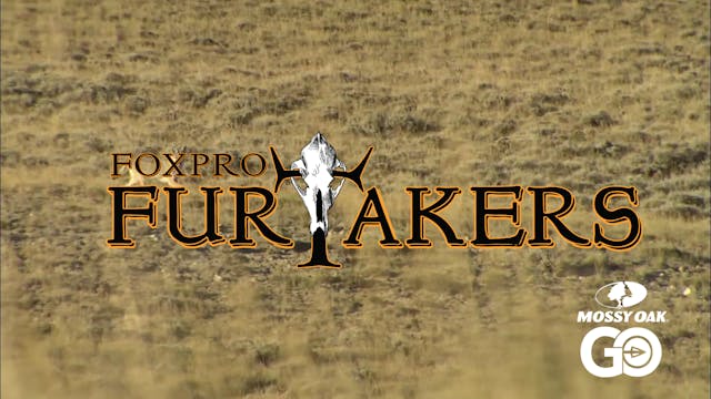 FOXPRO 1201 New Mexico • Furtakers