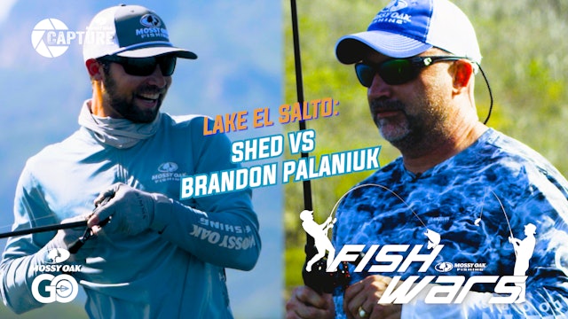 Fish Wars • Shed vs Brandon Palaniuk