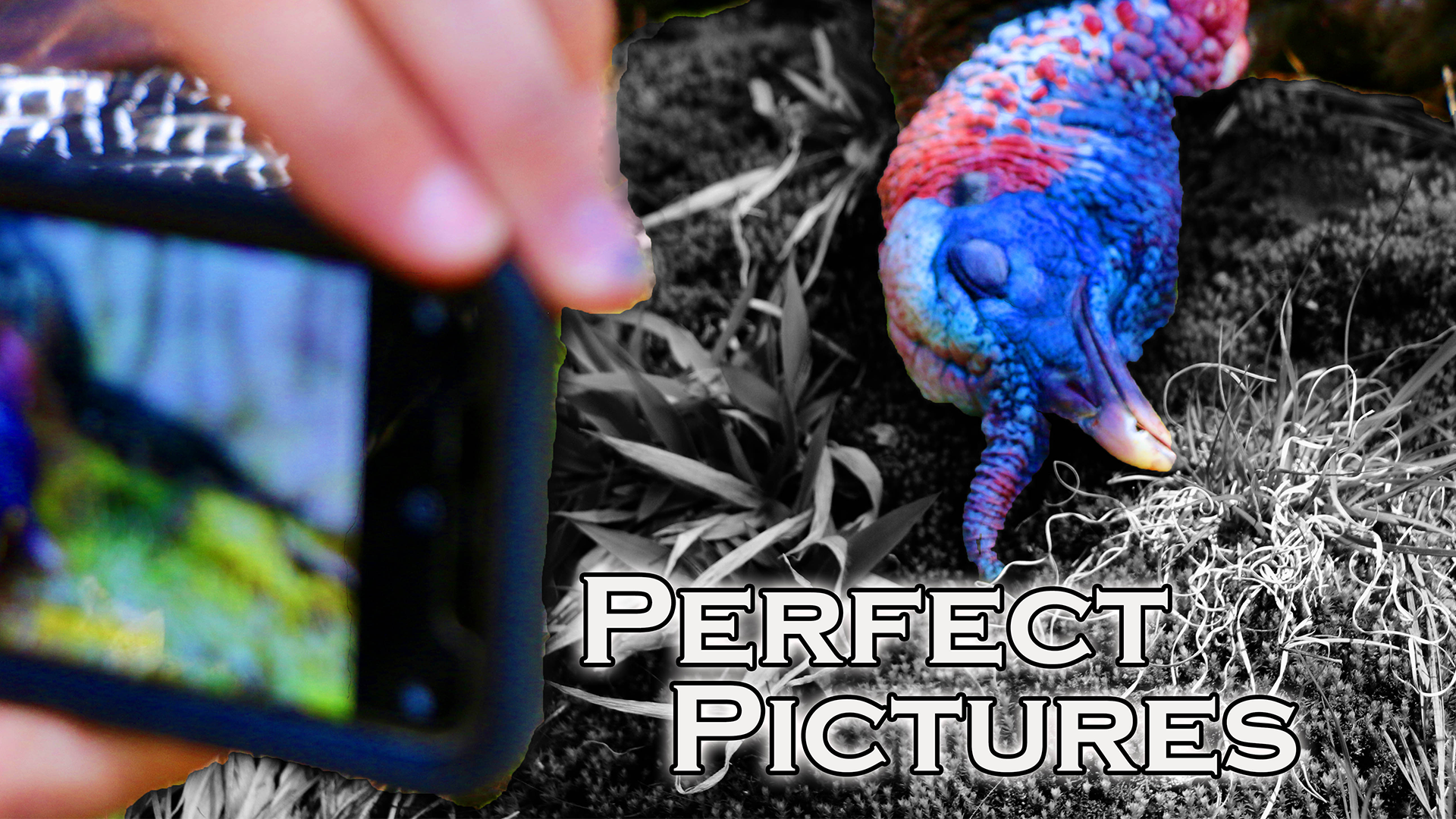 Takeaways •  Perfect Pictures • Pinhoti Project