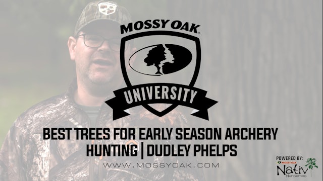 Best Trees for Early Season Bowhunting