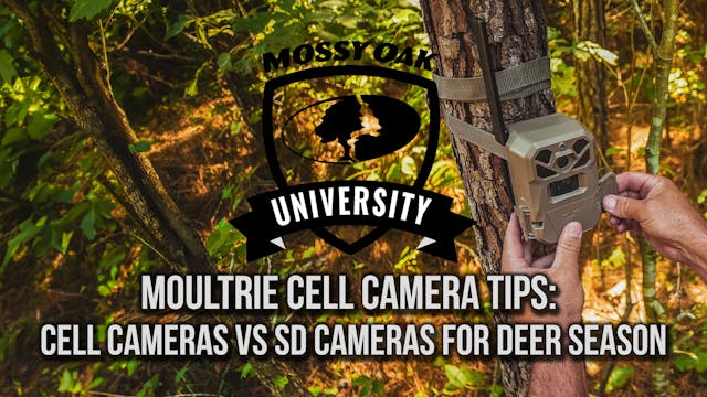 Moultrie Trail Camera Tips: Cell Came...