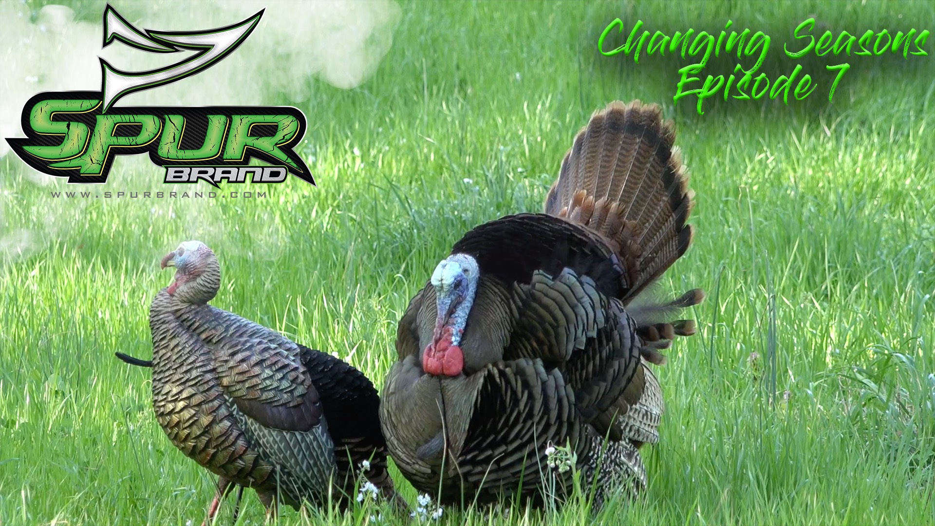 Changing Seasons • Episode 7 • Love Sick