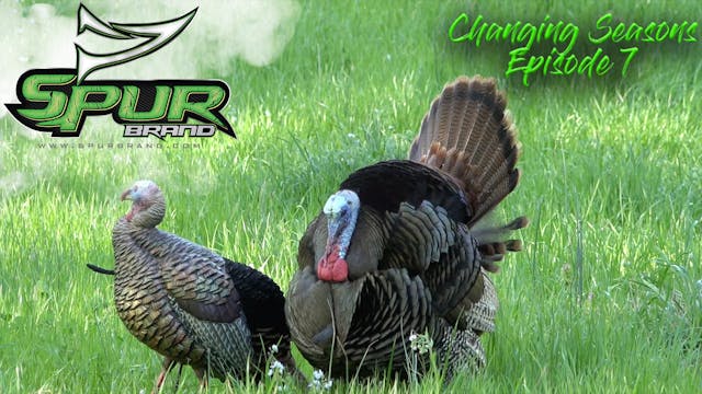 Changing Seasons • Episode 7 • Love Sick